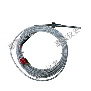 防爆熱電阻 防爆熱電阻